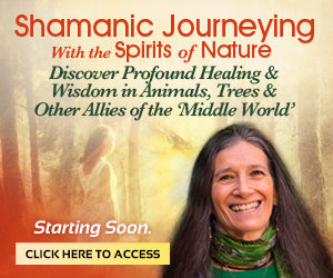 Airing Saturday 2-16-2019 Shamanic Journeying With the Spirits of Nature with Sandra Ingerman