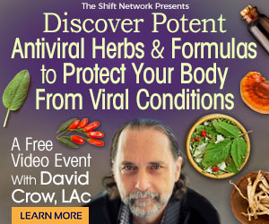 Discover Potent Antiviral Herbs & Formulas to Protect Your Body From Viral Conditions April 25th
